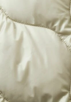 ESPRIT Mit Kragen - Winterjas - Dusty Green -Esprit 55d3e5d1326543318946a8b1e9f11607