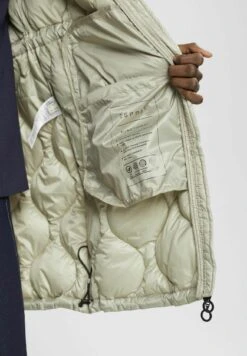 ESPRIT Stepp - Bodywarmer - Dusty Green -Esprit c60f2adf7b3c4cf592d50667ba675c52