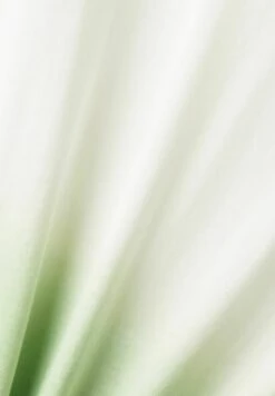 Edc By Esprit T-Shirt Print - Green -Esprit f91efef961db43dd943ab190192b417c