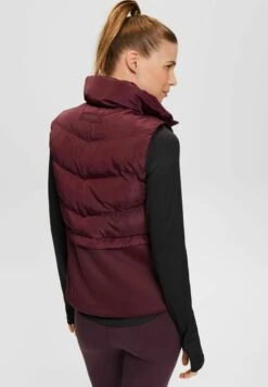 Steppweste Mit 3M™ Thinsulate™ - Bodywarmer - Bordeaux Red -Esprit fe6bf74a3efa4d7fa9fa3b2aaaa996f2